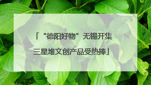 “德阳好物”无锡开集 三星堆文创产品受热捧